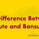 The Difference Between Flute and Bansuri